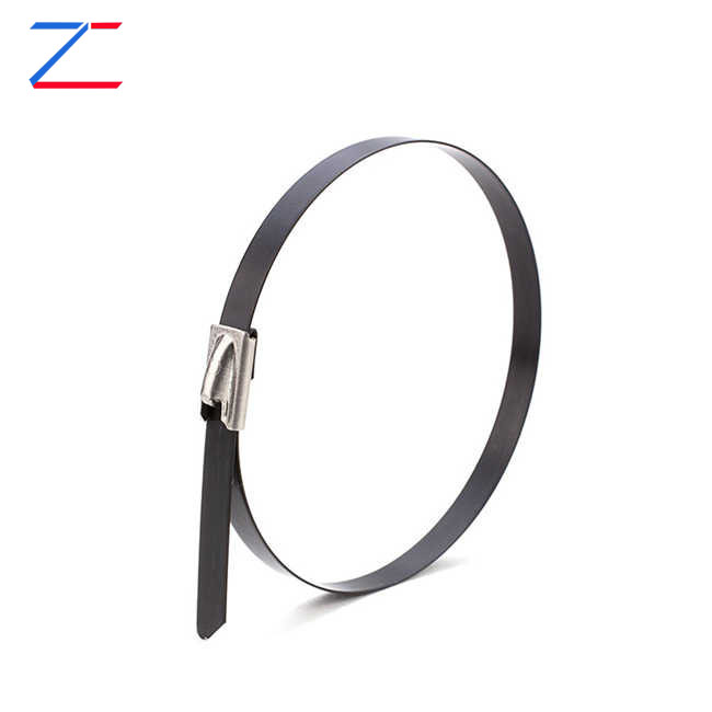 Hvorfor vælge coated rustfrit stål kabelbindere?